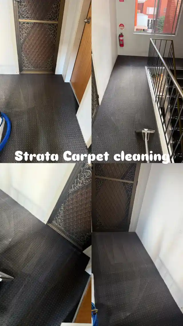 Strata commercial carpet cleaning before and after